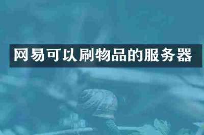 网易可以刷物品的服务器