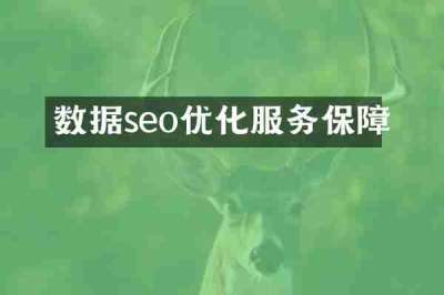 数据seo优化服务保障