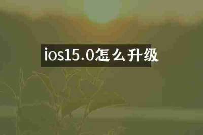 ios15.0怎么升级
