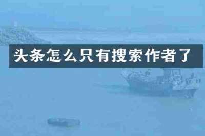 头条怎么只有搜索作者了