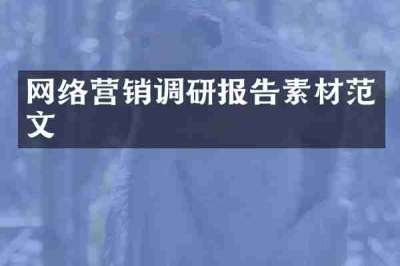 网络营销调研报告素材范文