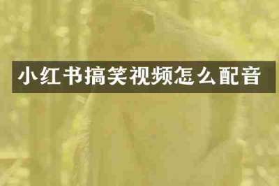 小红书搞笑视频怎么配音