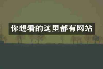 你想看的这里都有网站