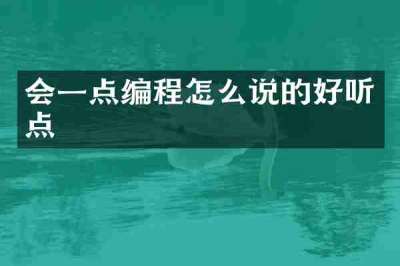 会一点编程怎么说的好听点