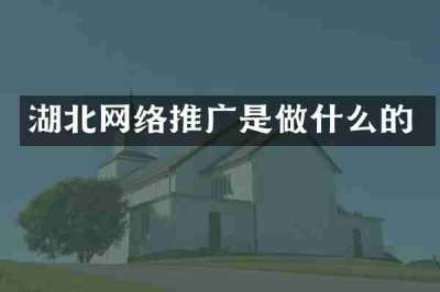 湖北网络推广是做什么的