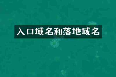 入口域名和落地域名
