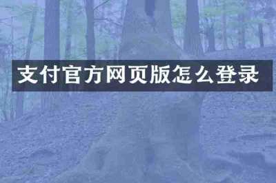 支付官方网页版怎么登录