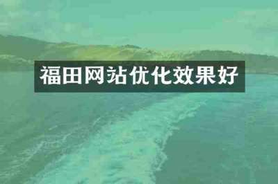 福田网站优化效果好