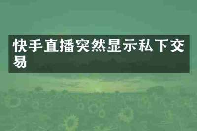 快手直播突然显示私下交易