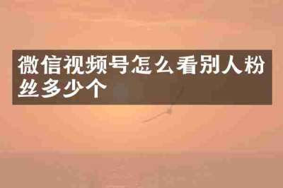 微信视频号怎么看别人粉丝多少个