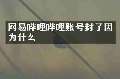 网易哔哩哔哩账号封了因为什么