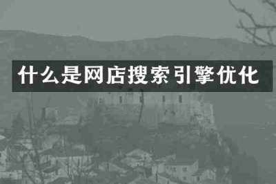 什么是网店搜索引擎优化