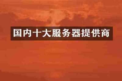 国内十大服务器提供商