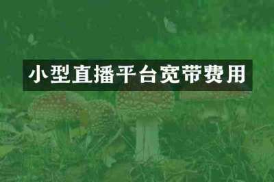 小型直播平台宽带费用