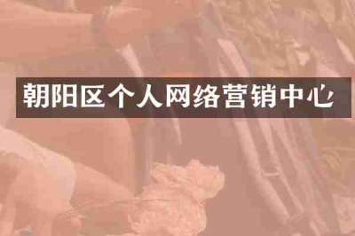 朝阳区个人网络营销中心