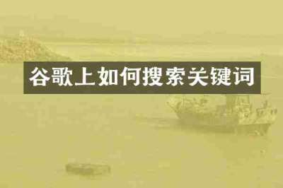 谷歌上如何搜索关键词