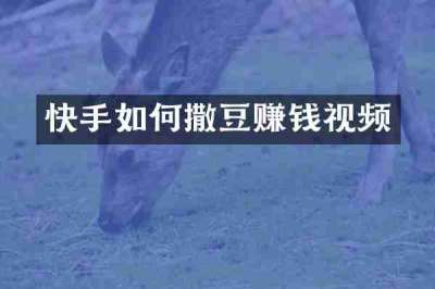 快手如何撒豆赚钱视频