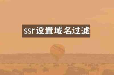 ssr设置域名过滤