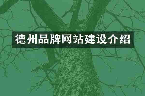 德州品牌网站建设介绍