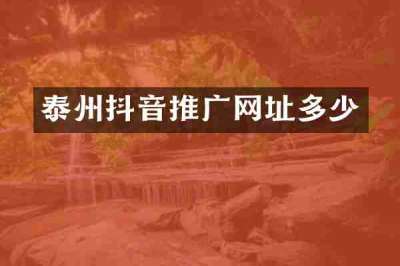 泰州抖音推广网址多少