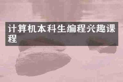 计算机本科生编程兴趣课程