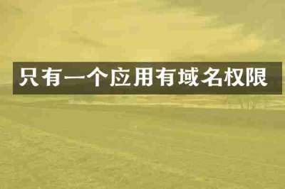 只有一个应用有域名权限