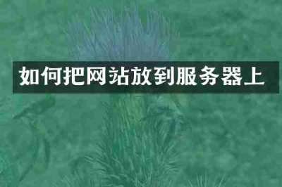 如何把网站放到服务器上