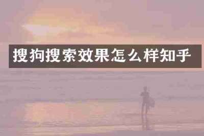 搜狗搜索效果怎么样知乎