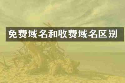 免费域名和收费域名区别