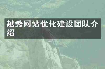越秀网站优化建设团队介绍