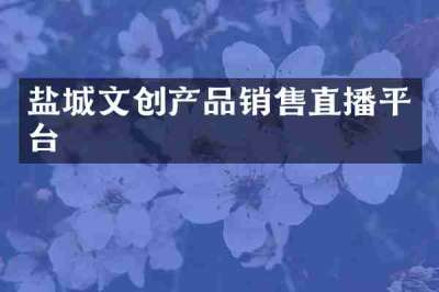盐城文创产品销售直播平台