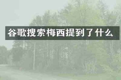 谷歌搜索梅西提到了什么