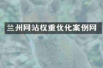 兰州网站权重优化案例网