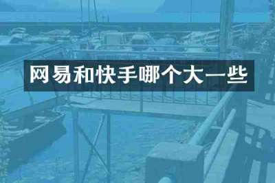 网易和快手哪个大一些