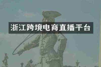 浙江跨境电商直播平台