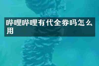 哔哩哔哩有代金券吗怎么用