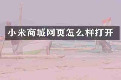 小米商城网页怎么样打开
