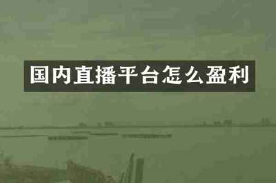 国内直播平台怎么盈利