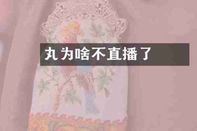 囧囧丸为啥不直播了