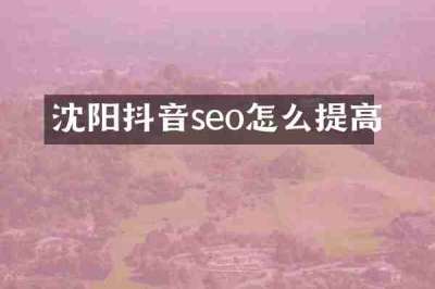 沈阳抖音seo怎么提高