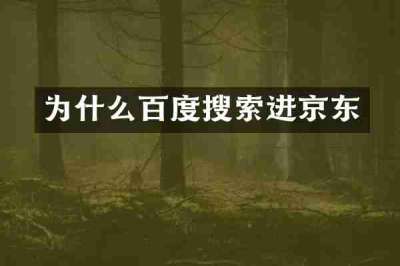 为什么百度搜索进京东