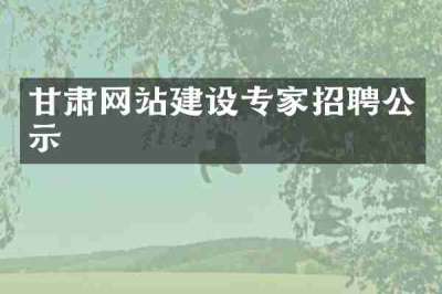 甘肃网站建设专家招聘公示