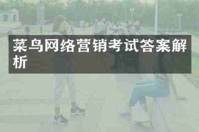 菜鸟网络营销考试答案解析