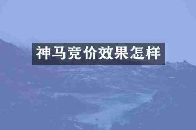 神马竞价效果怎样