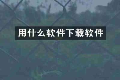 用什么软件下载软件