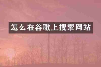怎么在谷歌上搜索网站