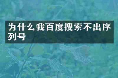 为什么我百度搜索不出序列号