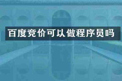 百度竞价可以做程序员吗