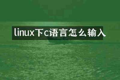 linux下c语言怎么输入