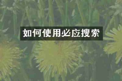 如何使用必应搜索